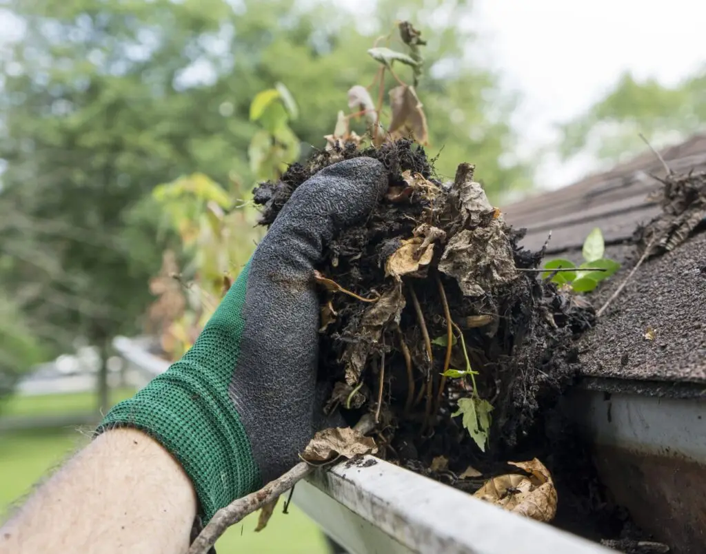 dreamstime xxl 58039762 scaled