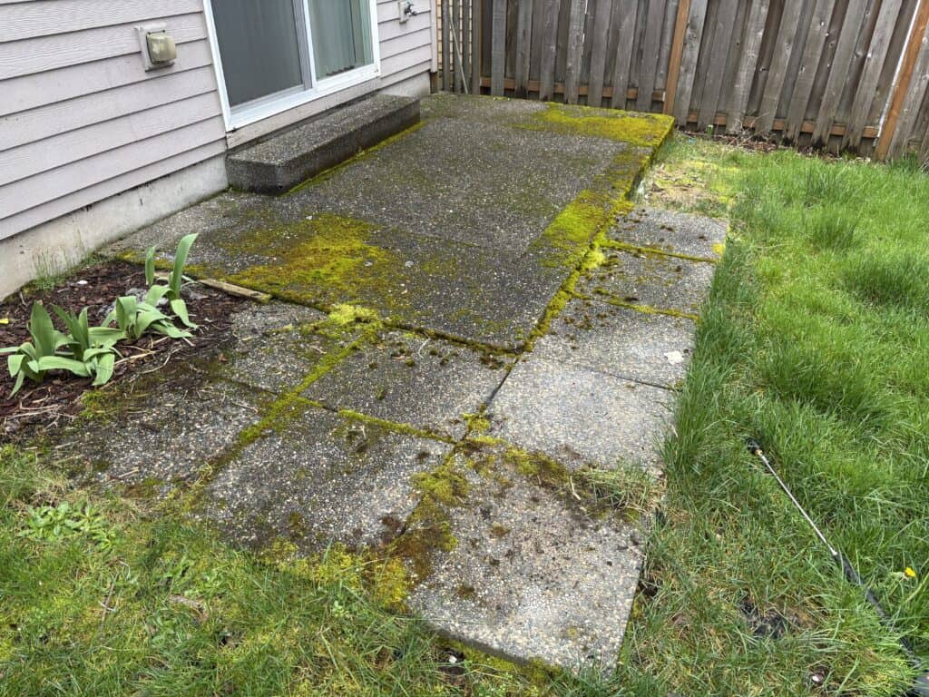 Aggregate concrete patio with thick moss growth before pressure washing.